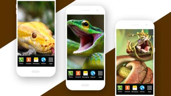 Snake Live Wallpaper screenshot 5