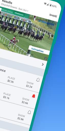 Horses Now screenshot 2