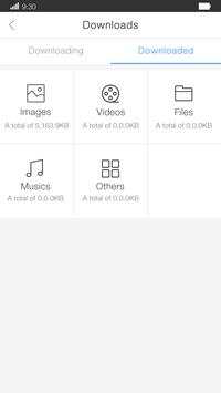 Bigweb - Feeds Browser screenshot 4