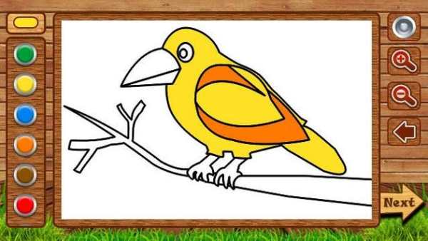Birds Coloring screenshot 3