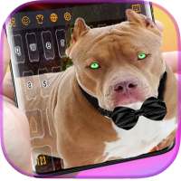 Biggest Pitbull Keyboard on 9Apps