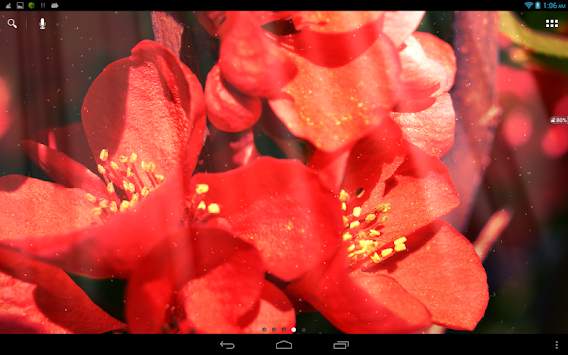 Spring Flowers Live Wallpaper screenshot 4
