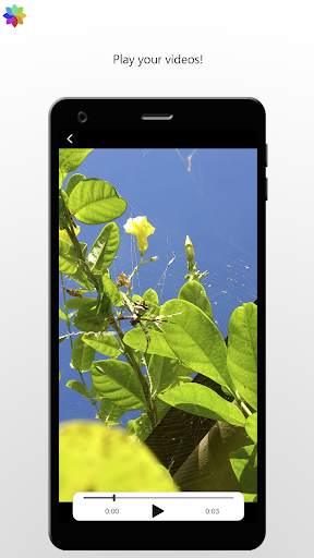 Infinity Gallery screenshot 5