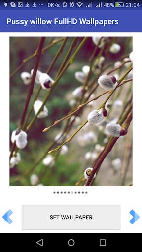 Pussy willow FullHD Wallpapers screenshot 7