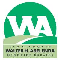 Walter H. Abelenda