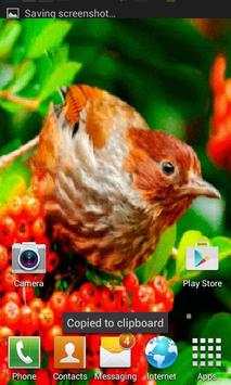 Red Fruit Bird LWP screenshot 2