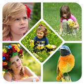 Photo College Maker 1.0.1