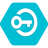 secure VPN - every country icon