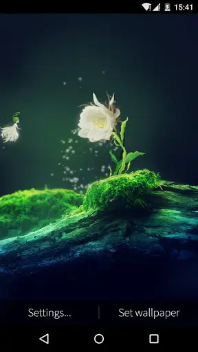 Cactus Flower Live Wallpaper скриншот 3