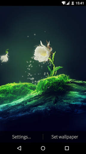 Cactus Flower Live Wallpaper screenshot 3