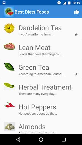 Healthy Diet Foods screenshot 2