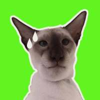 Cat Memes Stickers