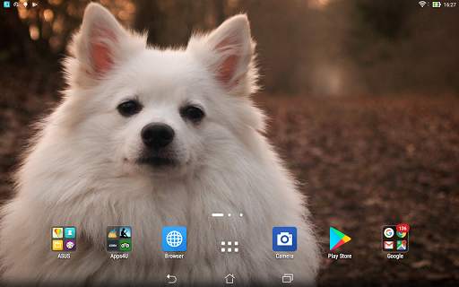 Spitz live wallpaper screenshot 5