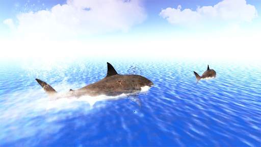 The Shark screenshot 5
