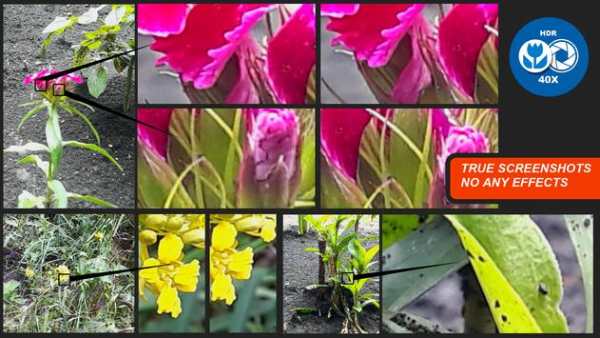 Macro  Photography  Camera.  Live  40x  Zoom 4 تصوير الشاشة