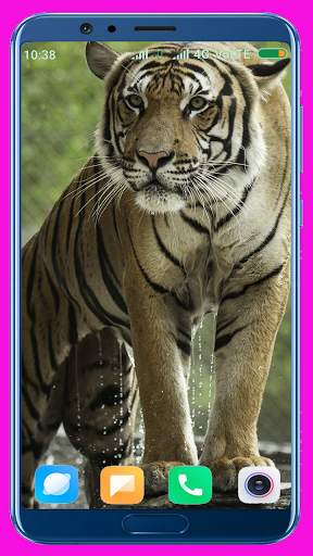 Tiger Wallpaper Best 4K screenshot 14