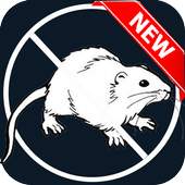Anti Mouse Prank 1.0