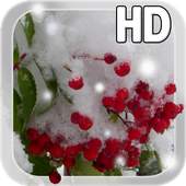 Winter Berry Live Wallpaper 1.1