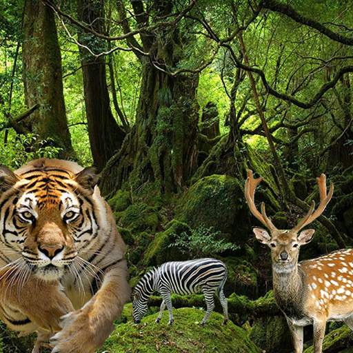 Angry Leopard - Chase Animals 1.6