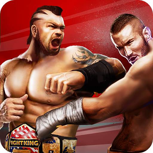 Champion Fight 3D 1.9