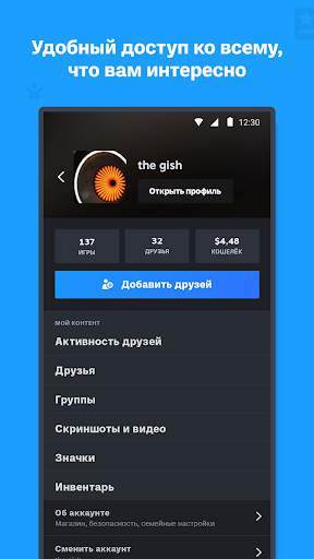 Steam скриншот 7