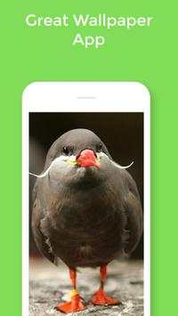 HD Best Birds Wallpaper 4K - Mobile Themes screenshot 6