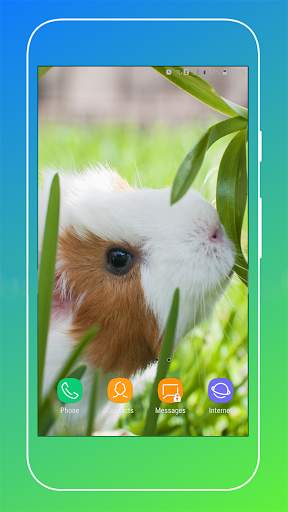Guinea Pig Wallpaper screenshot 11