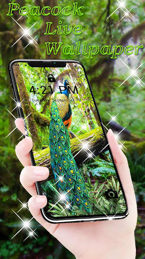 Peacock APUS Live Wallpaper screenshot 3