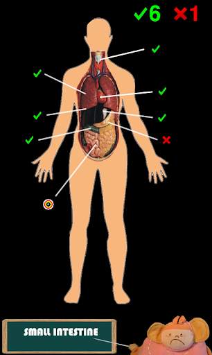 Funny anatomy screenshot 4