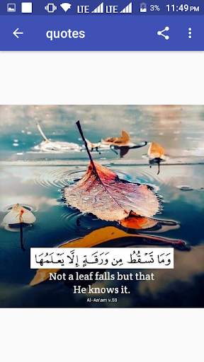 Islamic Quotes screenshot 2