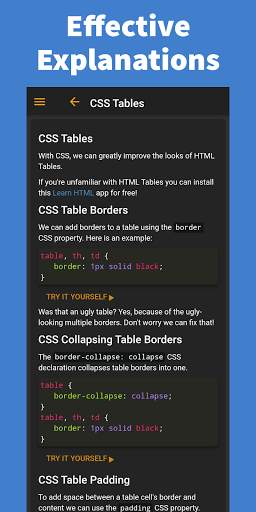 Learn CSS screenshot 2