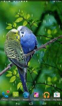 Rainy Bird Live Wallpaper screenshot 7