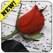 Romantic pictures 4 whatsapp 3.3