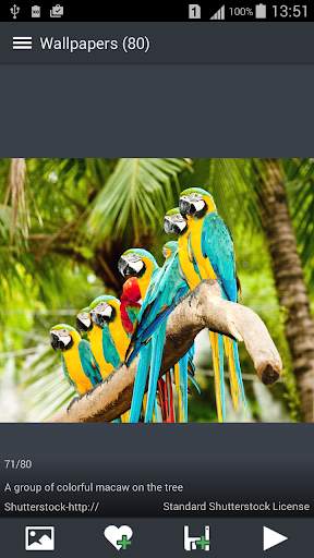 Animal Wallpapers screenshot 3
