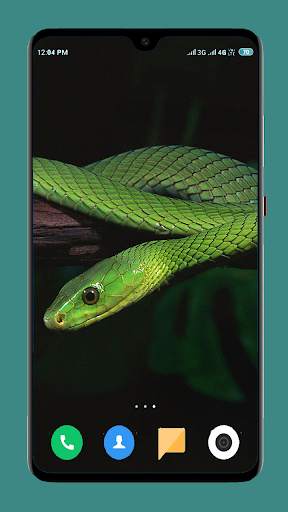 Snake Wallpaper HD screenshot 11