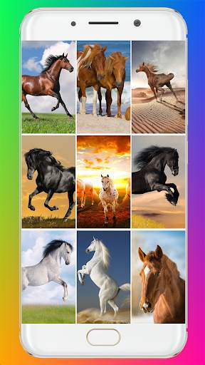 Horse Wallpaper HD screenshot 1