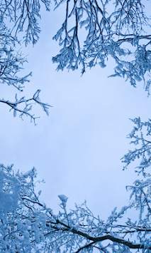 Snow 3d Wallpapers screenshot 1