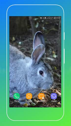 Rabbit Wallpaper screenshot 16
