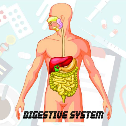 AR Digestive System icon