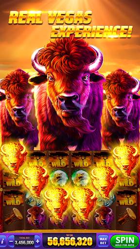 Double Hit Casino Slots Games screenshot 1