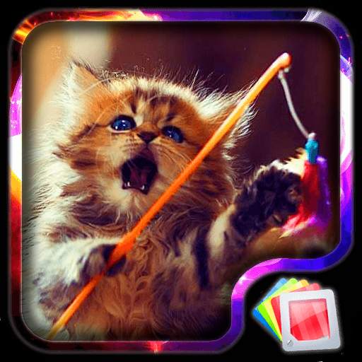 Cats Live Wallpaper 6.6.5