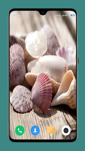 HD Seashell Wallpaper screenshot 2