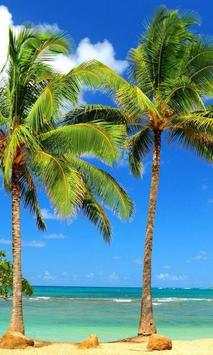 Palm Tree Wallpapers screenshot 1