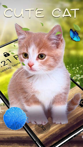 Cute Lovely Cat APUS Live Wallpaper screenshot 1