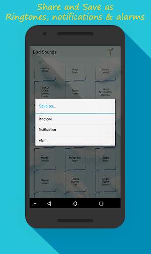 Bird Sounds & Bird Calls screenshot 3