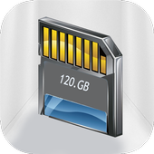 100 GB Storage Card SD أيقونة
