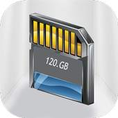 100 GB Storage Card SD 1.7