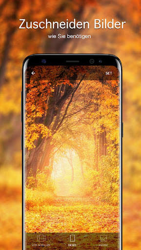 Herbst Hintergrundbilder 4K screenshot 3