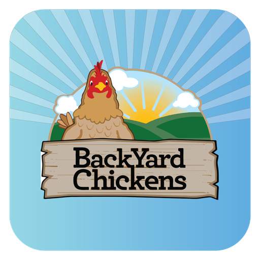 BackYard Chickens BYC 1.2
