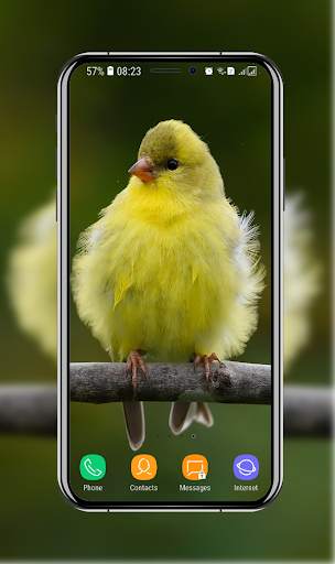Birds Wallpaper screenshot 15